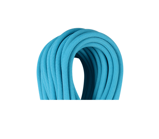 Apus Pro Dry 7,9mm 60m