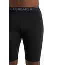 thumb 200 Oasis Shorts