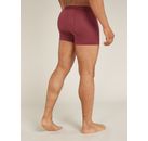 thumb Anatomica Boxers