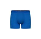 thumb Anatomica Boxers