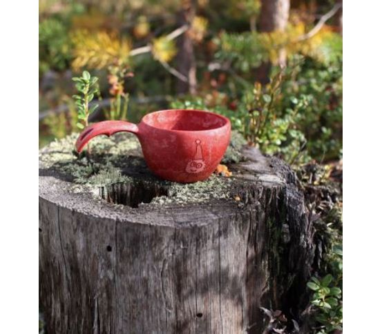 Cup 12 MK Hekki The Spider