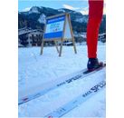 thumb MADSHUS Race Speed 182 2022