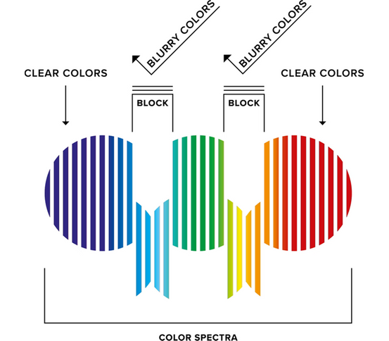BLIZ Fusion Nordic Light