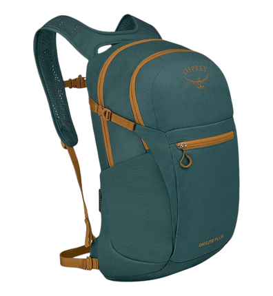 Daylite Plus bakpoki TBlue