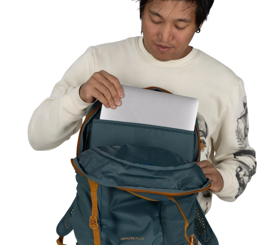 Daylite Plus bakpoki