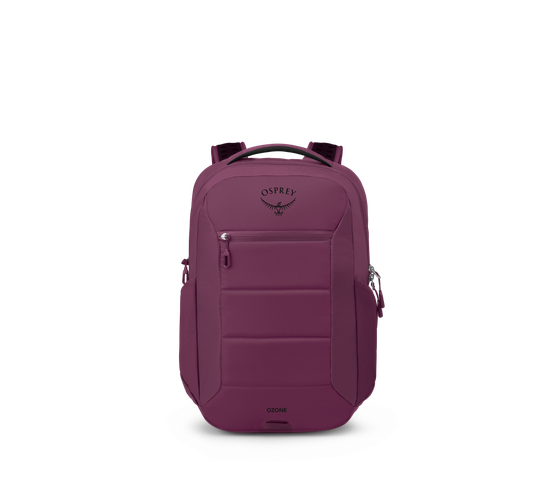 Ozone Laptop Travel Backpack