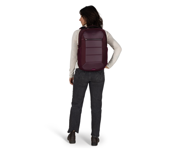 Ozone Laptop Travel Backpack
