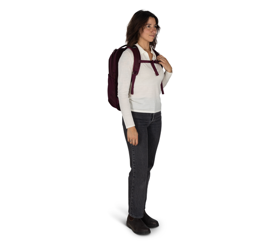 Ozone Laptop Travel Backpack