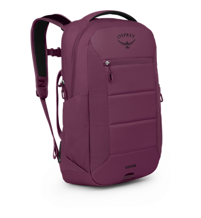 Ozone Laptop Travel Backpack MBurg