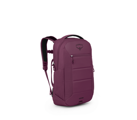 Ozone Laptop Travel Backpack