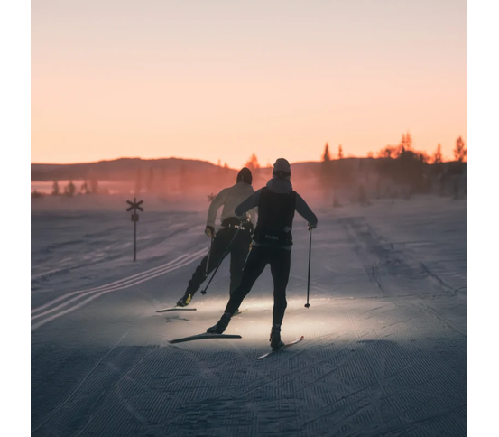 Free Pulse 1500 höfuðljós