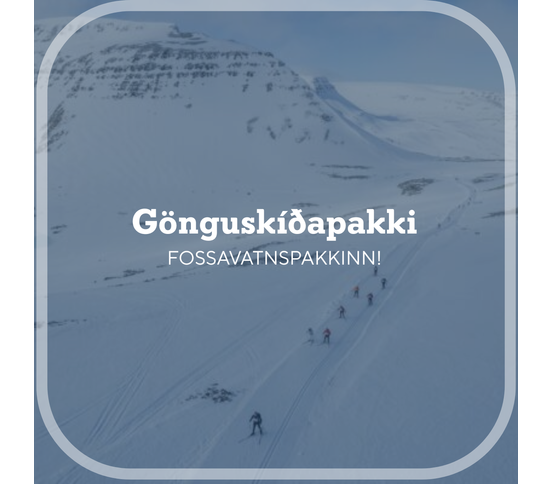 Madshus Endurace pakkinn