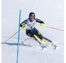 thumb 201 Trdkova Slalom skíðahjálmur