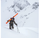 thumb Draco Freebird