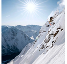 thumb Draco Freebird